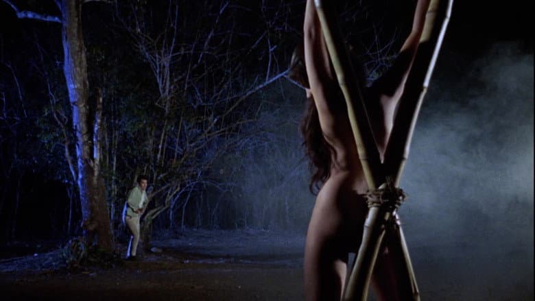 Backdrop from Brides of Blood