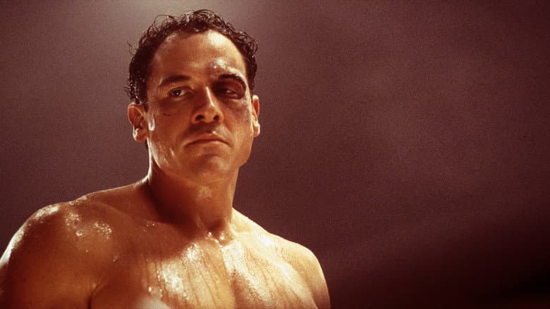 Backdrop from Rocky Marciano