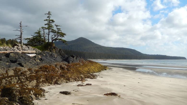 Backdrop from Haida Gwaii: On the Edge of the World