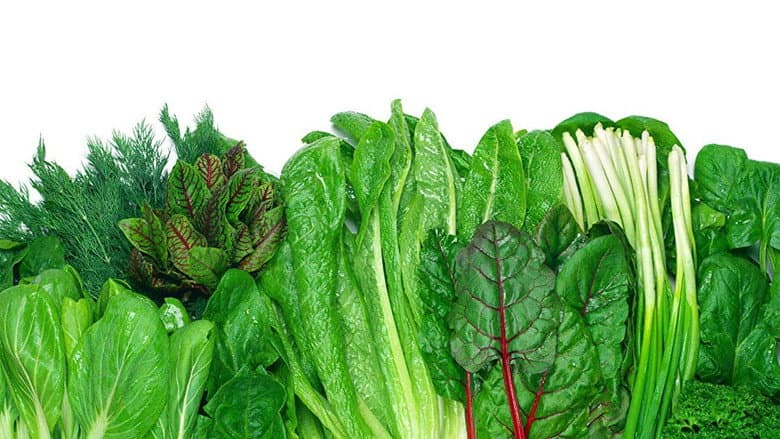 Backdrop from Foods That Cure Disease