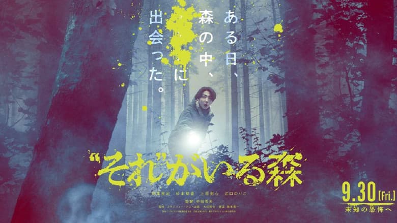 Backdrop from It's in the Woods