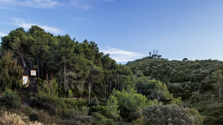 Backdrop from Valldaura: A Quarantine Cabin