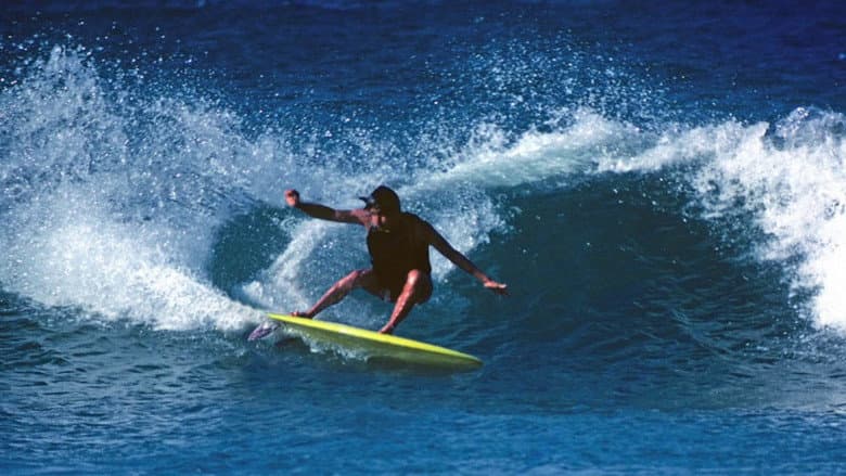 Backdrop from Fish: The Surfboard Documentary