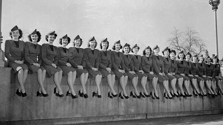 Backdrop from Flying Stewardess