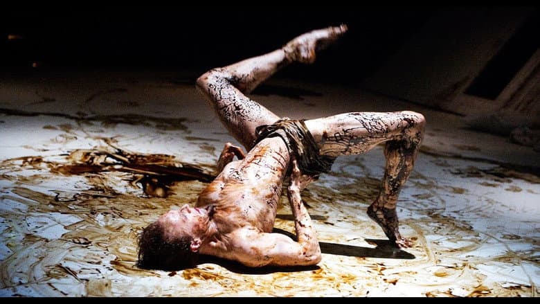 Backdrop from The Royal Ballet's The Metamorphosis
