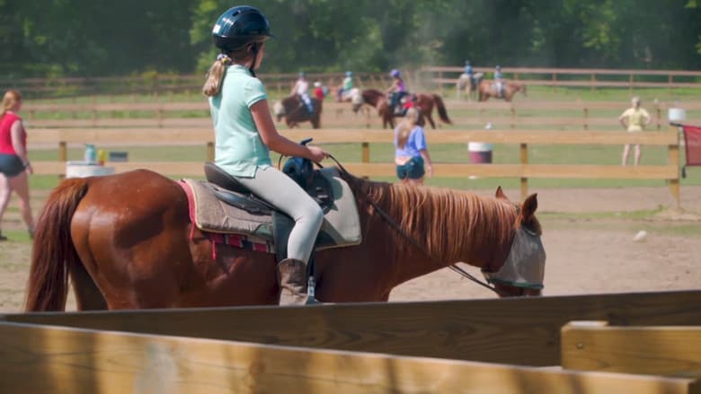 Backdrop from Horse Camp: A Love Tail
