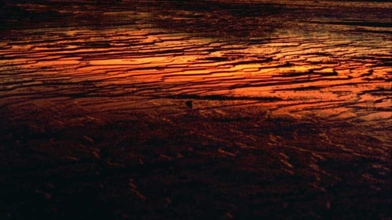 Backdrop from Fascinating Nature
