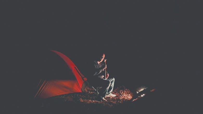 Backdrop from Something Walks in the Woods