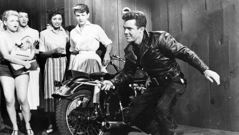 Backdrop from Motorcycle Gang