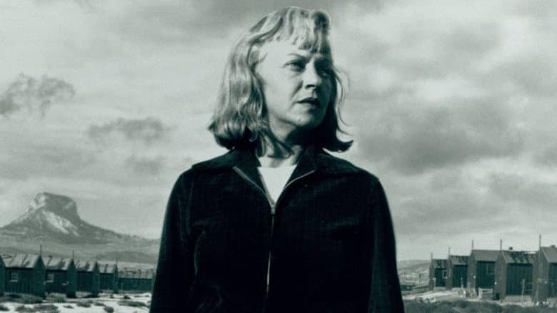 Backdrop from Days of Waiting: The Life & Art of Estelle Ishigo