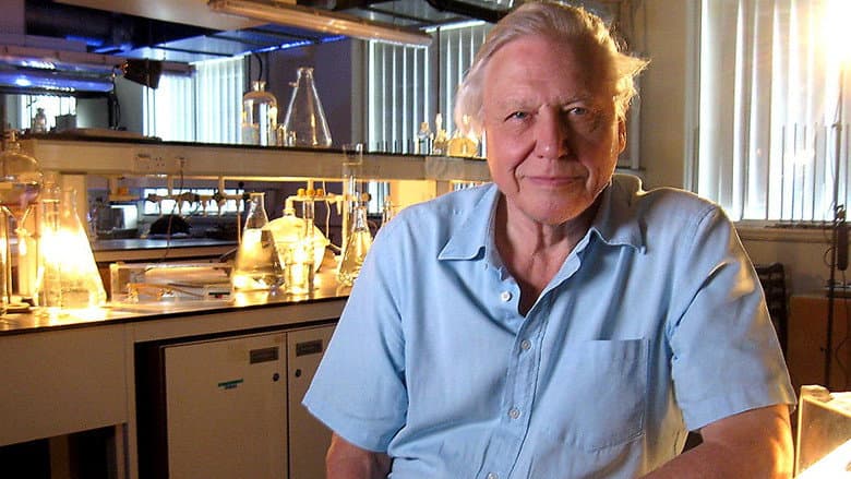 Кадр із фільму «Mad and Bad: 60 Years of Science on TV»
