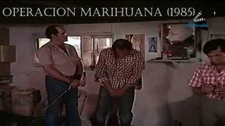 Backdrop from Operation Marihuana