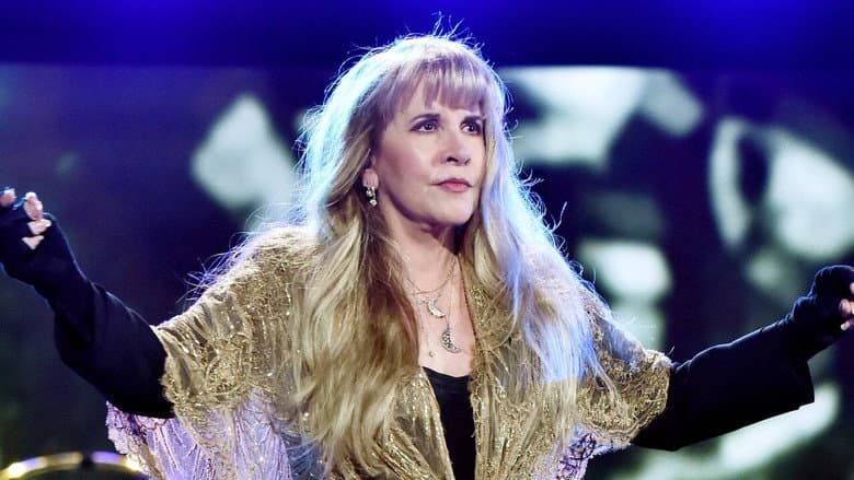 Backdrop from Stevie Nicks 24 Karat Gold The Concert