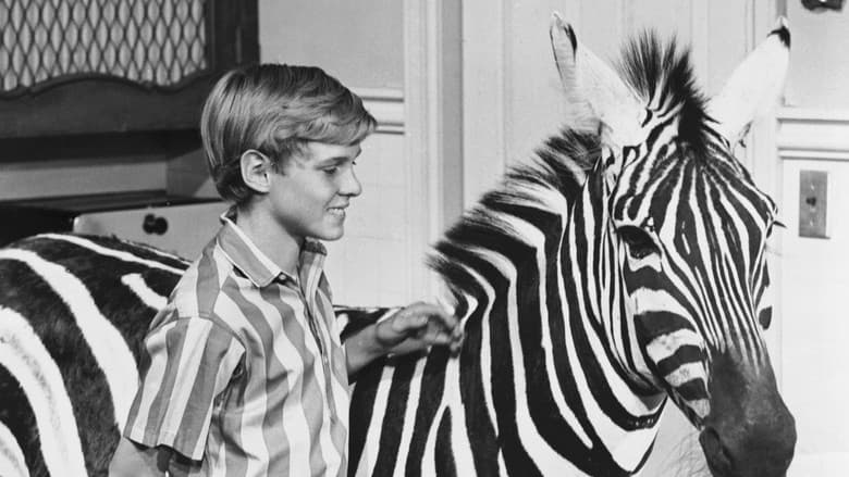 Backdrop from Zebra in the Kitchen