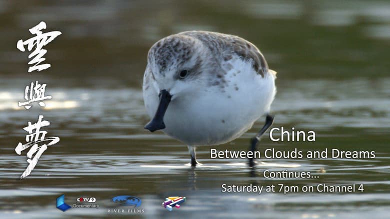 Backdrop from China: Between Clouds and Dreams