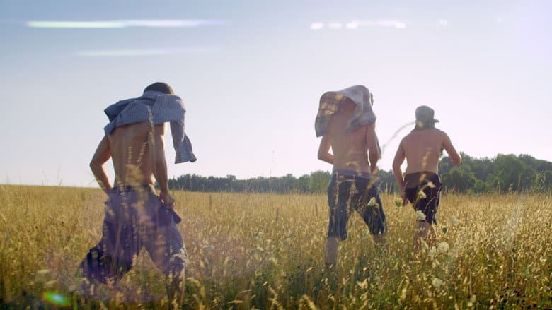 Backdrop from The Kings of Summer
