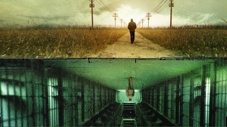 Backdrop from The Innocence Files