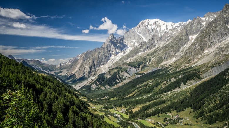 Backdrop from Des racines & des ailes
