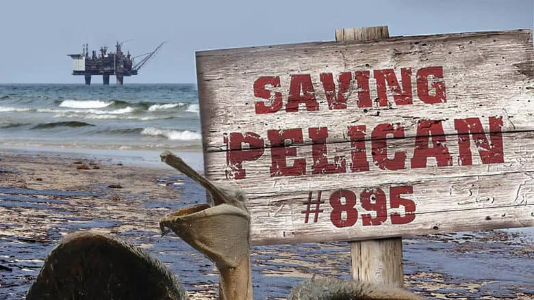 Backdrop from Saving Pelican 895