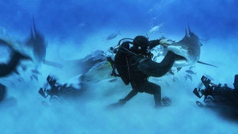 Backdrop from Man vs. Shark
