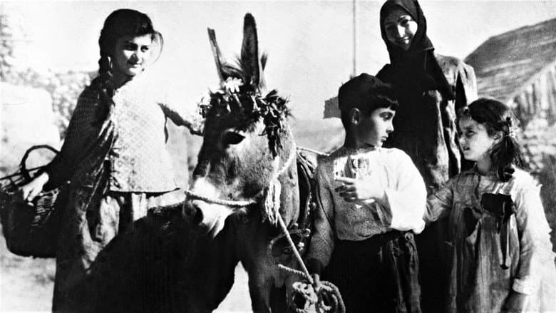 Backdrop from Magdana's Donkey