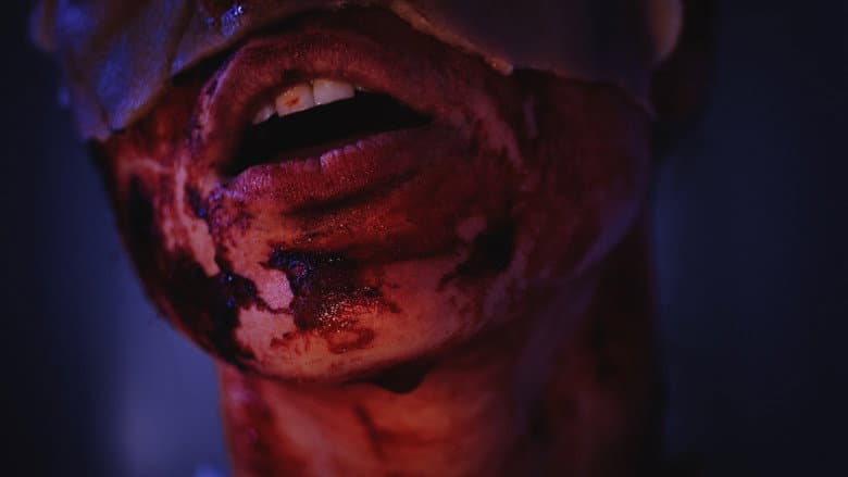 Backdrop from Skin Deep