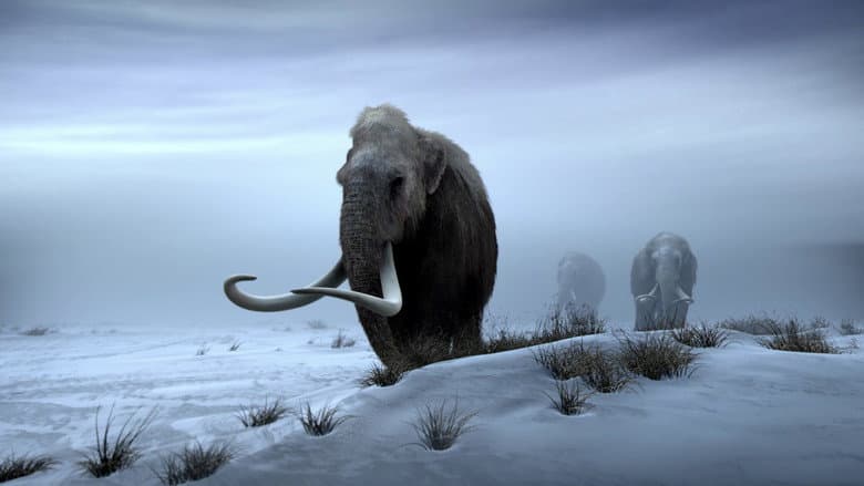 Backdrop from Titans of the Ice Age