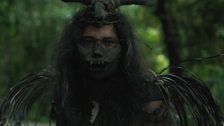 Backdrop from Woman in the Woods