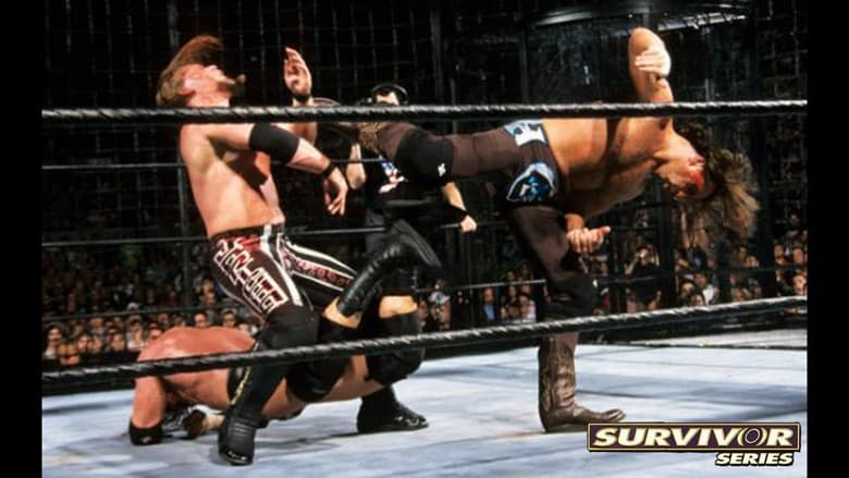 Backdrop from WWE Survivor Series 2002