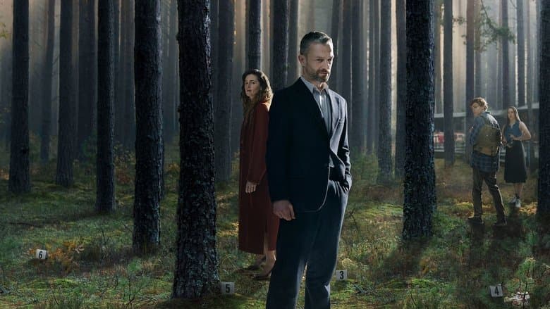 Backdrop from The Woods