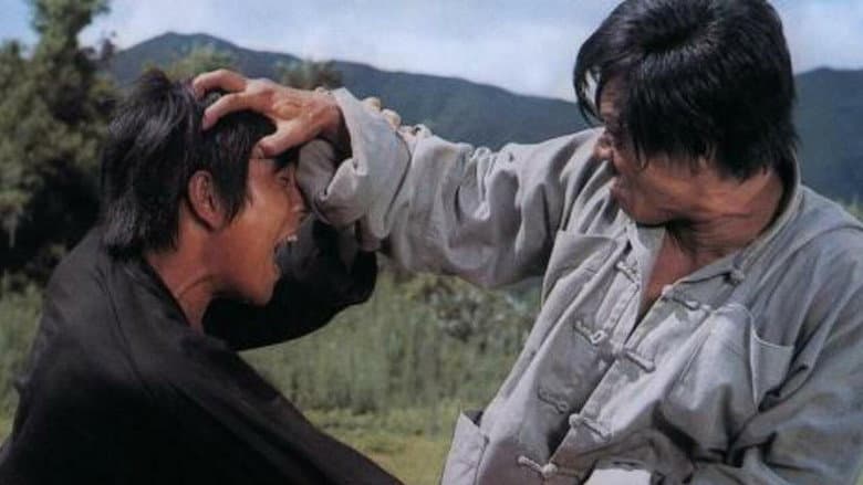 Backdrop from Revenge of the Dragon