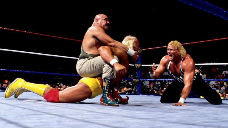 Backdrop from WWE SummerSlam 1991