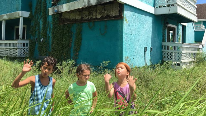 Backdrop from The Florida Project