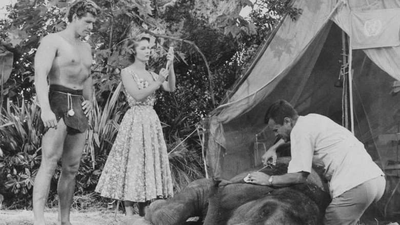 Backdrop from Tarzan's Hidden Jungle