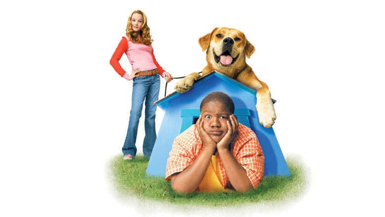 Backdrop from Life Is Ruff