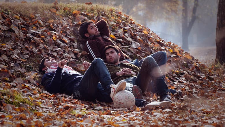 Backdrop from Autumn
