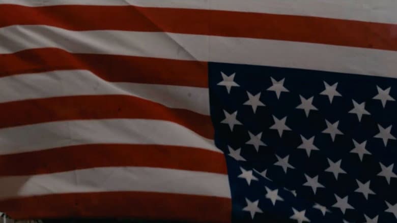 Backdrop from Viva