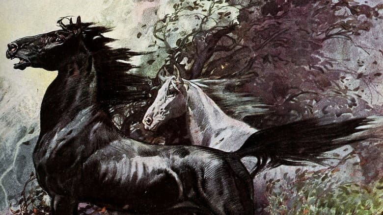 Кадр із фільму «King of the Wild Horses»