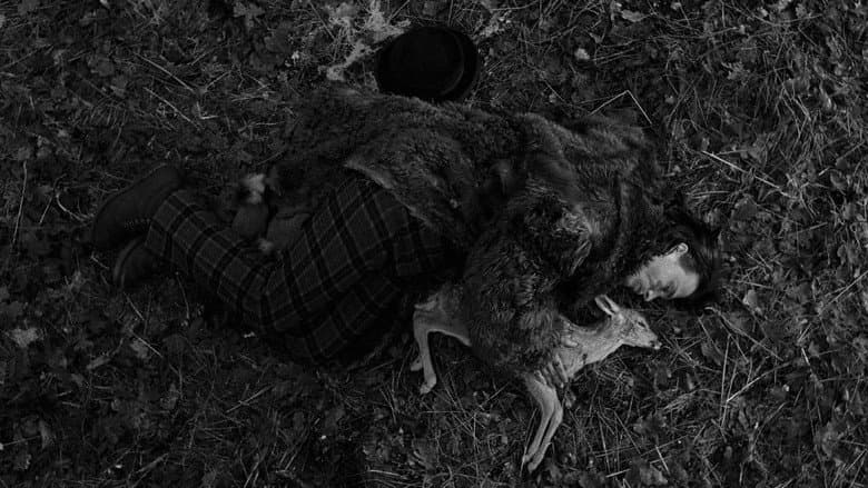 Backdrop from Dead Man