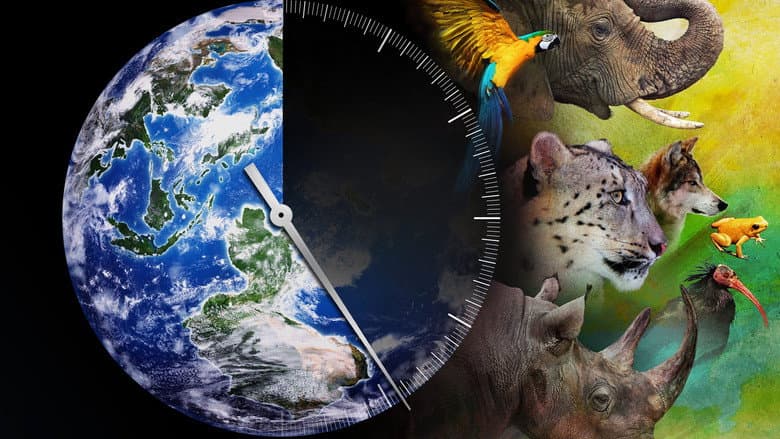 Backdrop from Racing Extinction