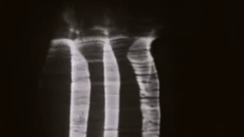 Backdrop from The Achalunés