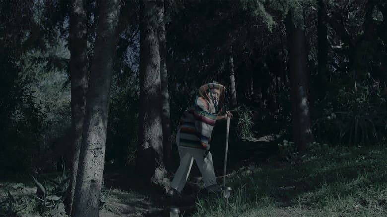 Backdrop from In Luna There Are Spirits