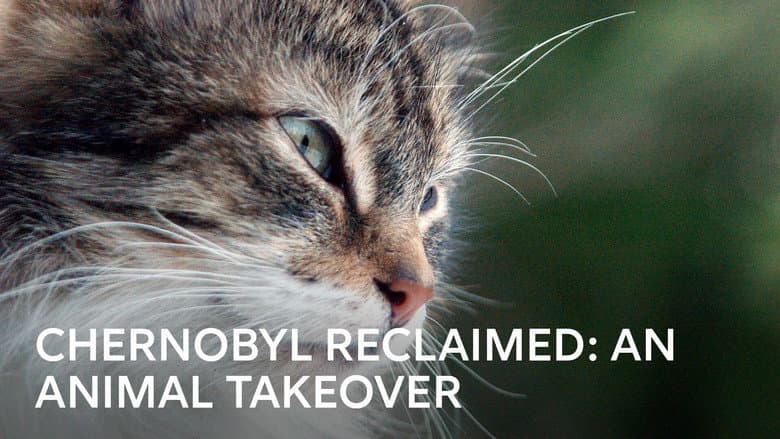 Backdrop from Chernobyl Reclaimed: An Animal Takeover
