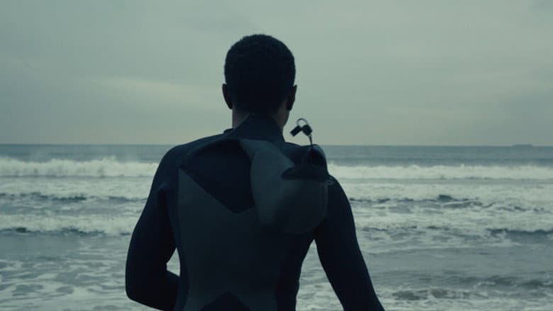 Backdrop from The Surf Report
