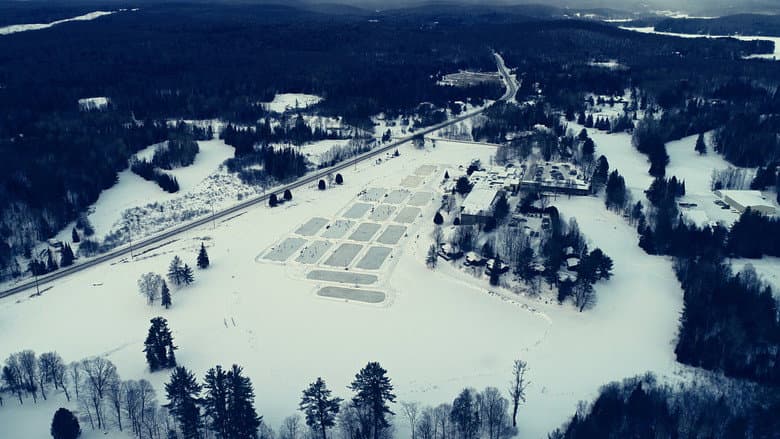Кадр із фільму «The Hockey Film»
