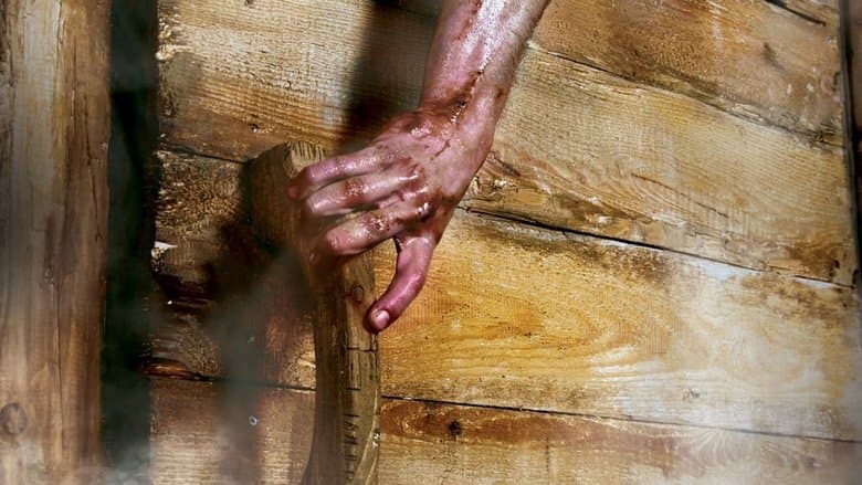 Кадр із фільму «247 градусів за Фаренгейтом»