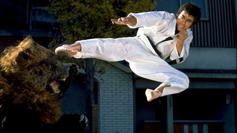 Backdrop from Karate Bear Fighter