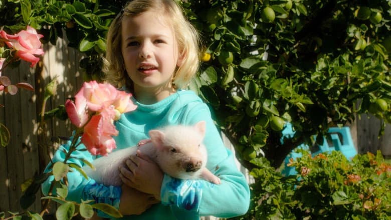 Backdrop from Arlo: The Burping Pig