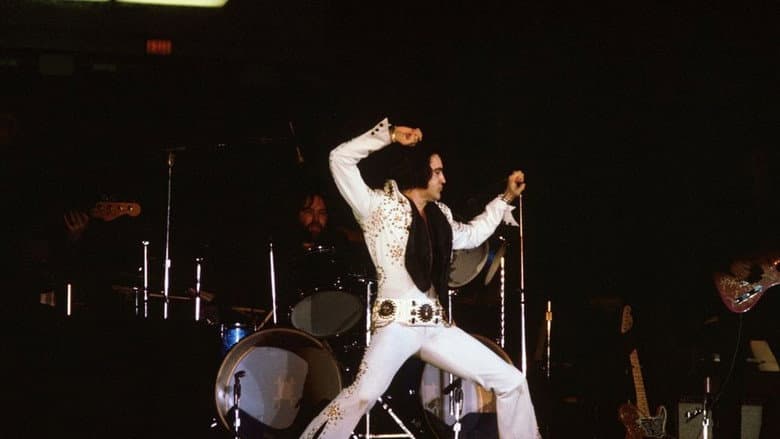 Backdrop from Elvis on Tour