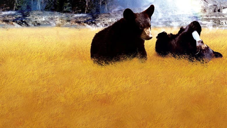 Backdrop from Yellowstone Cubs